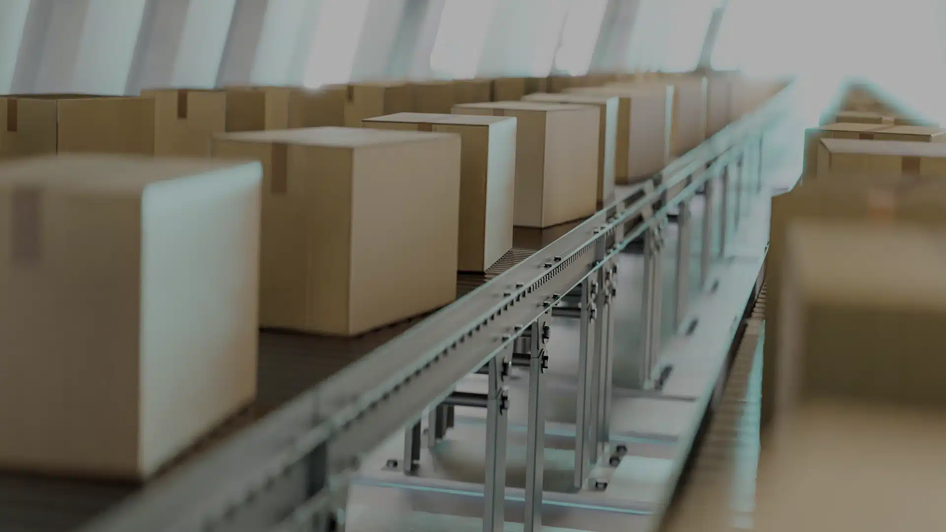 EXIMBOX Baia Mare - Producător și Furnizor cutii carton